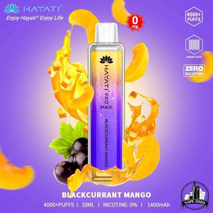 HAYATI Pro Max 4000 Puffs 20MG Disposable Vape Price in Dubai BLACKCURRANT MANGO