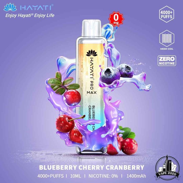 HAYATI Pro Max 4000 Puffs 20MG Disposable Vape Price in Dubai BLUEBERRY CHERRY CRANBERRY