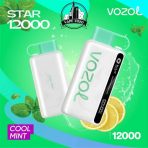 VOZOL Star 12000 Puffs 50MG Disposable Vape in Dubai, UAE