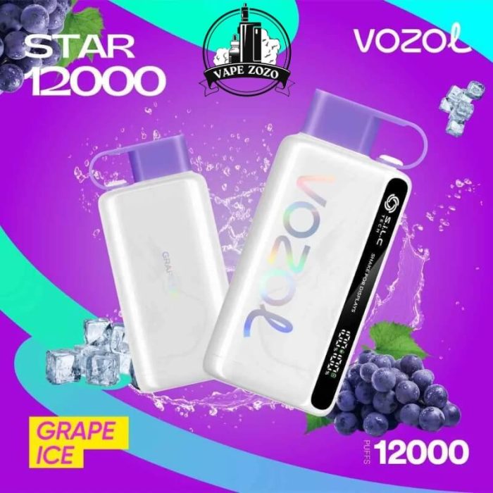 VOZOL Star 12000 Puffs 50MG Disposable Vape in Dubai, UAE