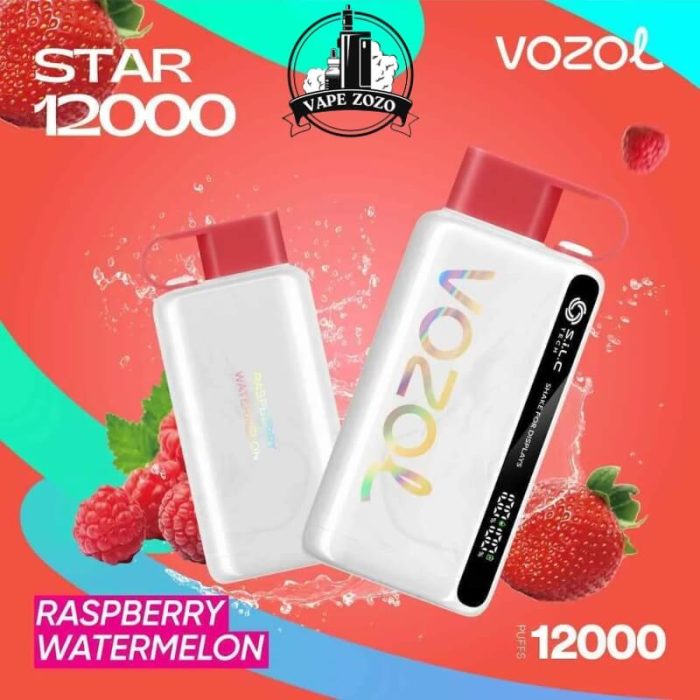 VOZOL Star 12000 Puffs 50MG Disposable Vape in Dubai, UAE