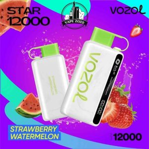 VOZOL Star 12000 Puffs 50MG Disposable Vape in Dubai, UAE