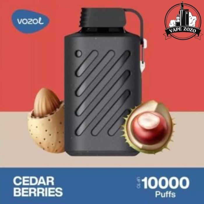 Vozol Gear 10000 Puffs 50mg Disposable Vape In Dubai