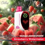 CHILLAX Shake 22000 Puffs 50MG Nicotine LED Indicator Disposable Vape Price in Dubai STRAWBERRY-WATERMELON