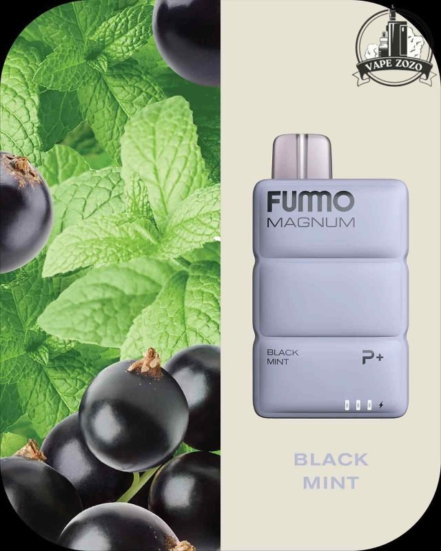 FUMMO Magnum 8000 Puffs 20MG Disposable Vape Price in Dubai BLACK MINT