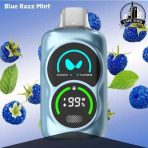 WAKA PA25000 Puffs Disposable Vape Price in Dubai Blue Razz Mint