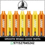 SMOOTH Whale 12000 Puffs 50MG Disposable Vape Price In Dubai