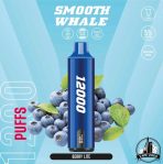 SMOOTH Whale 12000 Puffs 50MG Disposable Vape Price in Dubai BERRY LITE