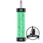 Buy OLIT Shishalit 30000 Puffs Disposable Vape Price in Dubai Two Apple