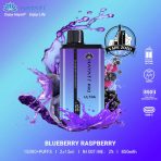 HAYATI Pro Ultra 15000 Puffs 20MG Disposable Vape Price in Dubai Blueberry Raspberry