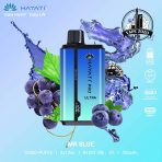 HAYATI Pro Ultra 15000 Puffs 20MG Disposable Vape Price in Dubai MR Blue