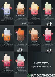 NERD Fire 10000 Puffs 20MG Disposable Vape in UAE