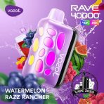 VOZOL Rave 40000 Puffs 50MG Disposable Vape Price in Dubai Watermelon Razz Rancher