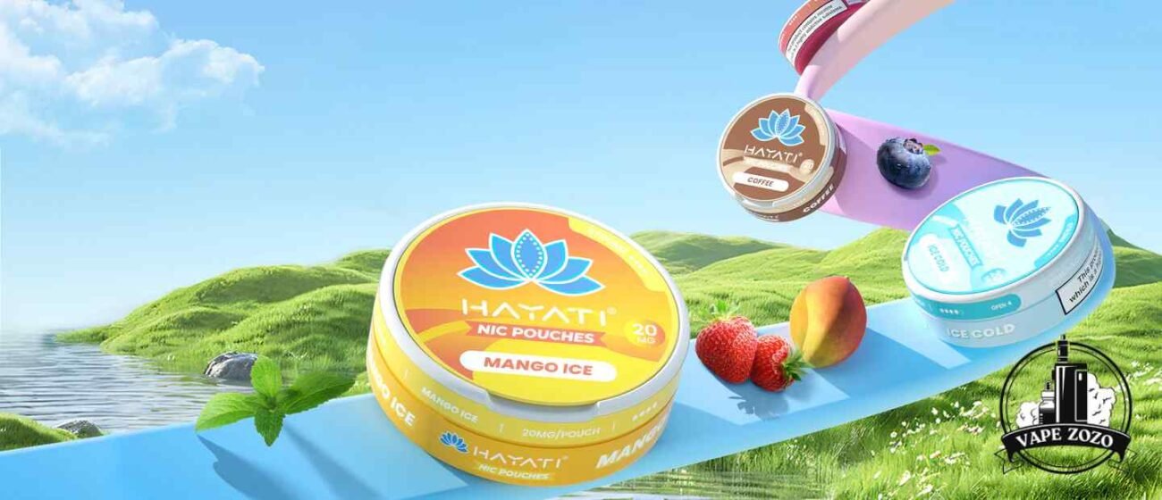 Buy HAYATI 3MG Nicotine Pouches Price in Dubai