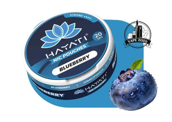 Buy HAYATI 3MG Nicotine Pouches Price in Dubai Blueberry