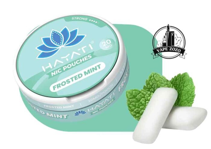 Buy HAYATI 3MG Nicotine Pouches Price in Dubai Frosted Mint