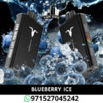 IGNITE V250 25000 Puffs 50MG Disposable Vape in Dubai