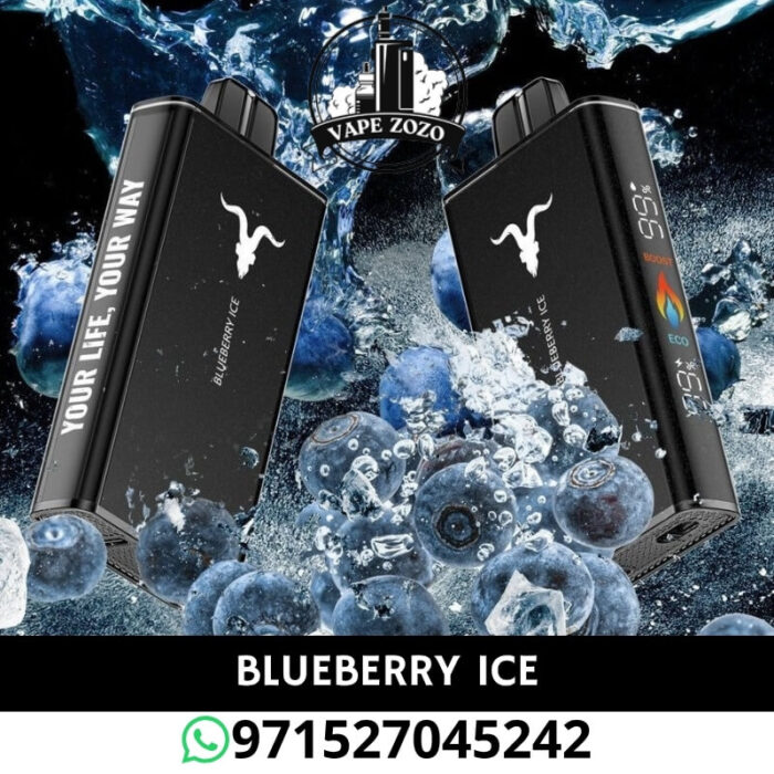 IGNITE V250 25000 Puffs 50MG Disposable Vape in Dubai
