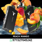 IGNITE V250 25000 Puffs 50MG Disposable Vape in Dubai