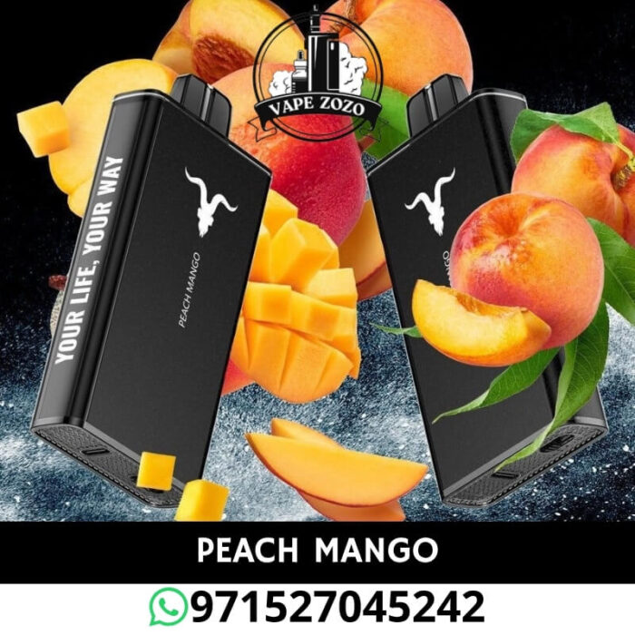IGNITE V250 25000 Puffs 50MG Disposable Vape in Dubai