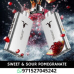 IGNITE V250 25000 Puffs 50MG Disposable Vape in Dubai