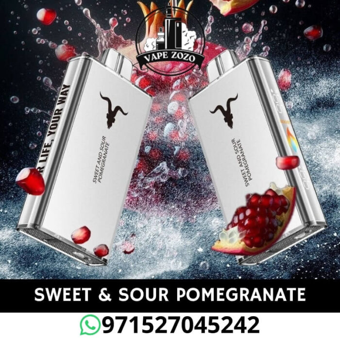 IGNITE V250 25000 Puffs 50MG Disposable Vape in Dubai