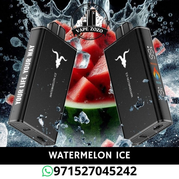 IGNITE V250 25000 Puffs 50MG Disposable Vape in Dubai