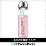 LOST MARY MT15000 Turbo 15000 Puffs 50MG Disposable Vape in Dubai