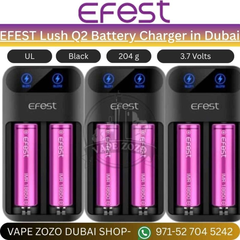 EFEST Lush Q2 Battery Charger in Dubai
