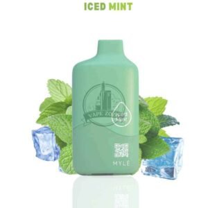 MYLE Meta 9000 Disposable Device in UAE iced-mint