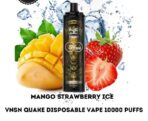 VNSN Quake 10000 Puffs 50mg Disposable Vape In UAE mango strawberry ice