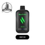 black bar 30000 puffs disposable vape in dubai mango mint ice