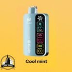 silvaper 4 mode adjustable ice 40000 puffs disposable vape in dubai cool mint