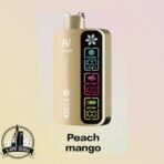 silvaper 4 mode adjustable ice 40000 puffs disposable vape in dubai peach mango