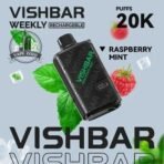 vishbar 20000 puffs disposable vape in dubai raspberry mint
