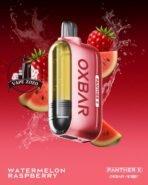 dr vapes oxbar panther x 50000 puffs disposable vape watermelon raspberry