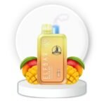 elfbar raya d1 13000puffs grape slurpee