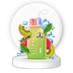 elfbar raya d1 13000puffs mango king