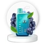 elfbar raya d1 13000puffs strawberry melon